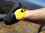 To celebrate my second summit, I took a picture of the gash my chainring left in my leg.